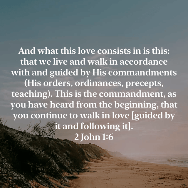 Love is Persevering…